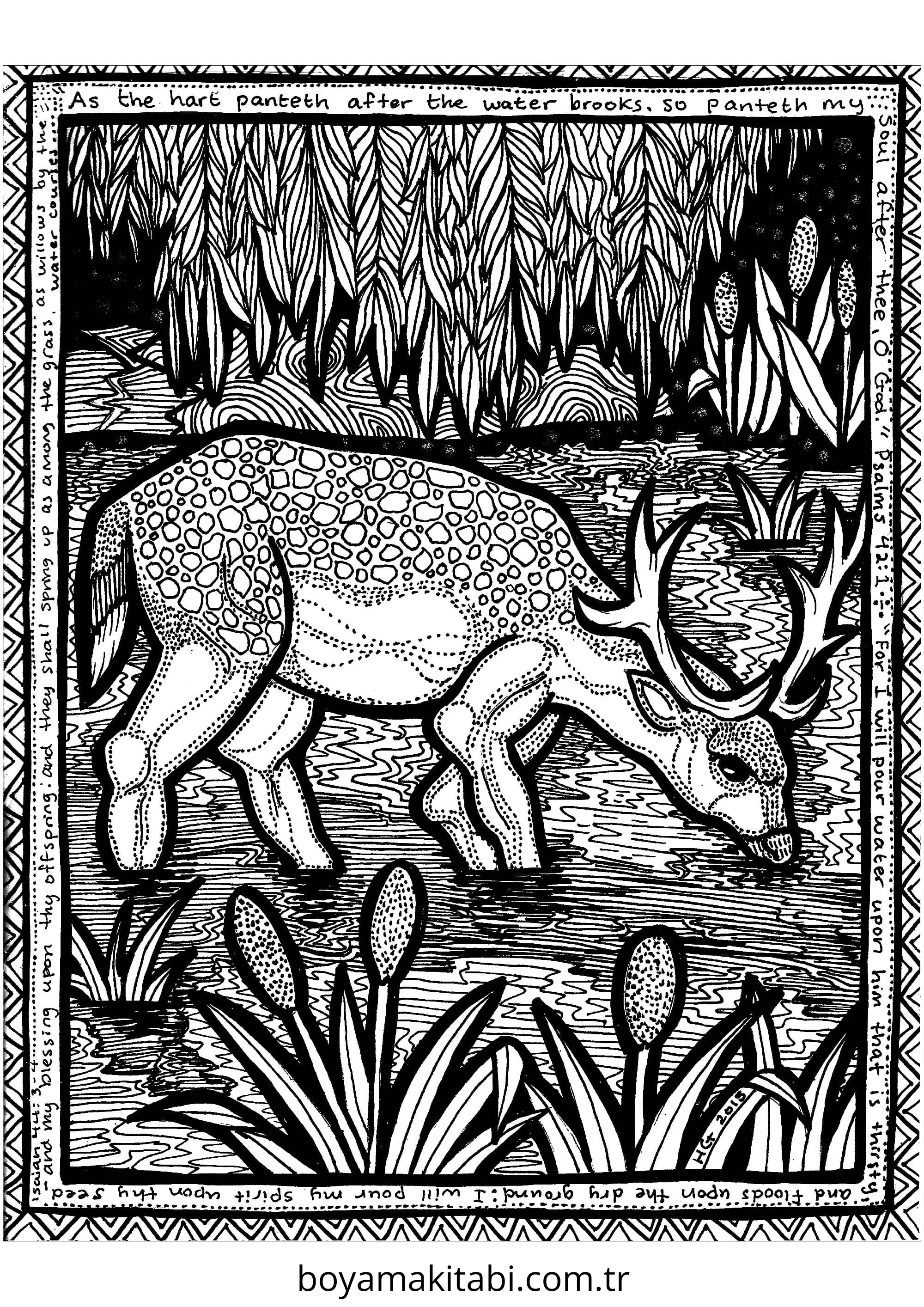 Zentangle boyama sayfası – eğlenceli etkinlik, el becerilerini geliştirir