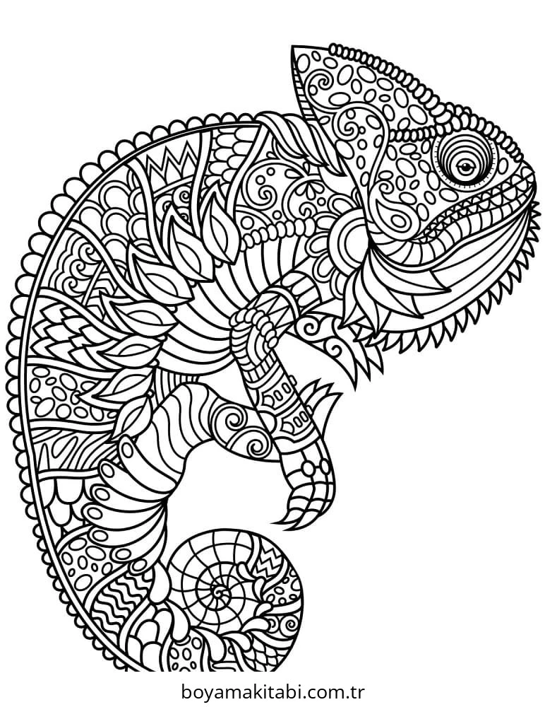Zentangle boyama sayfası – çizgi film temalı, basit çizim