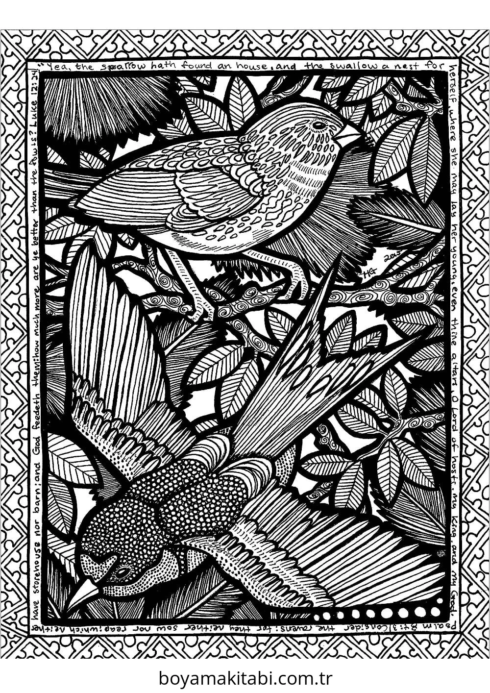 Zentangle boyama sayfası – boyama çalışması, yaratıcılığı geliştirir