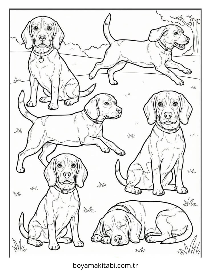Beagle boyama sayfası – kolay boyama, eğitici aktivite