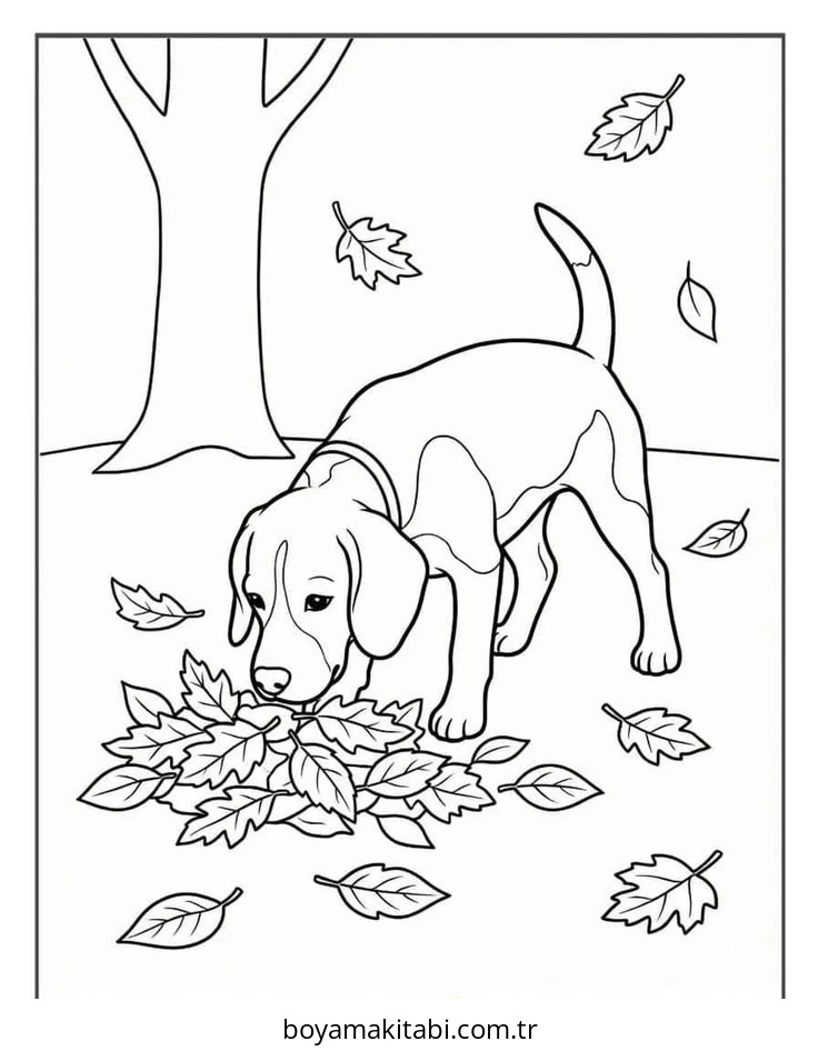 Beagle boyama sayfası – evde etkinlik, ücretsiz yazdır