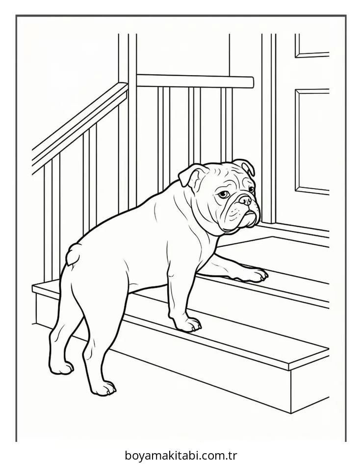 Bulldog boyama sayfası – basit çizim, kolay boyama