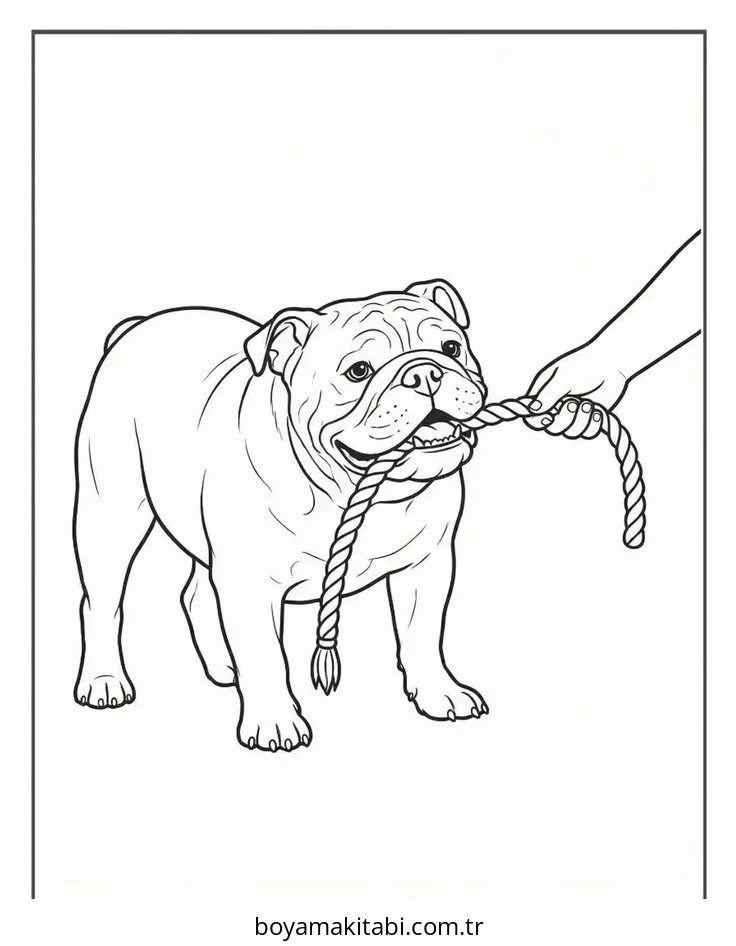 Bulldog boyama sayfası – boyama çalışması, yaratıcılığı geliştirir