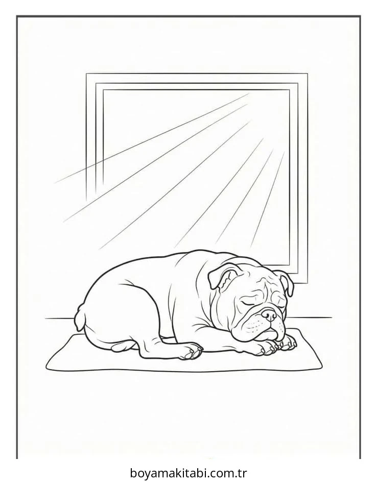 Bulldog boyama sayfası – renkli çizimler, okul öncesi