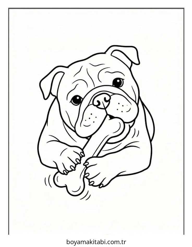 Bulldog boyama sayfası – ücretsiz yazdır, boyama etkinliği