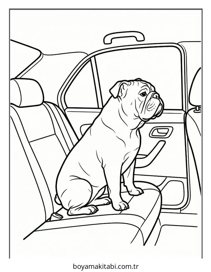 Bulldog boyama sayfası – PDF indir, sevimli karakter