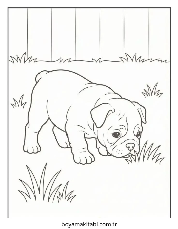 Bulldog boyama sayfası – çocuklar için, çizgi film temalı