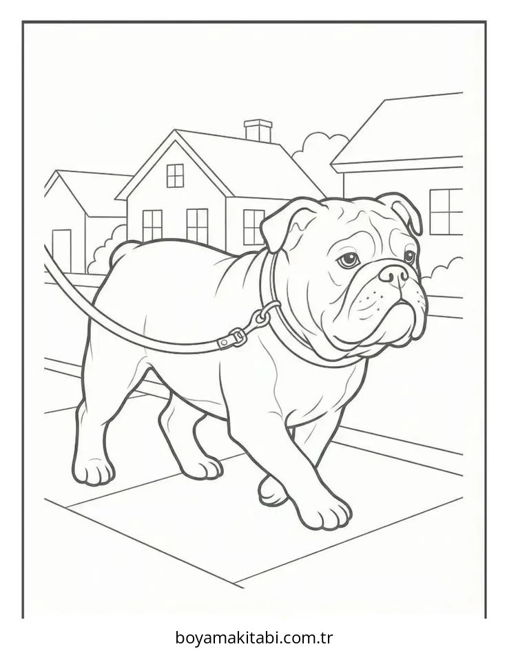 Bulldog boyama sayfası – kolay boyama, eğitici aktivite