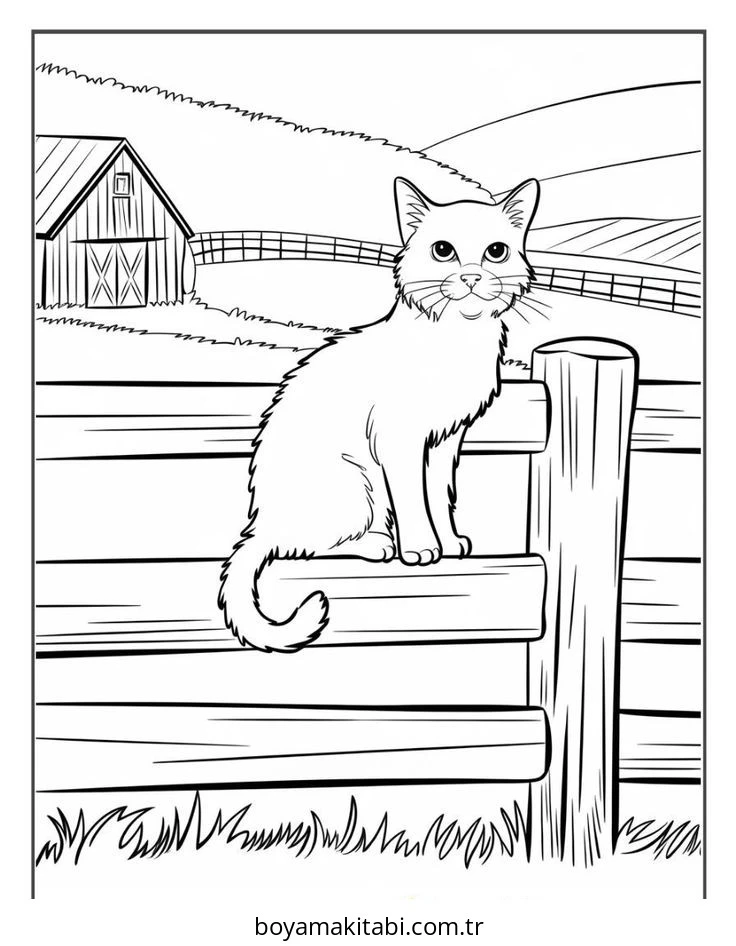 Kedi Boyama