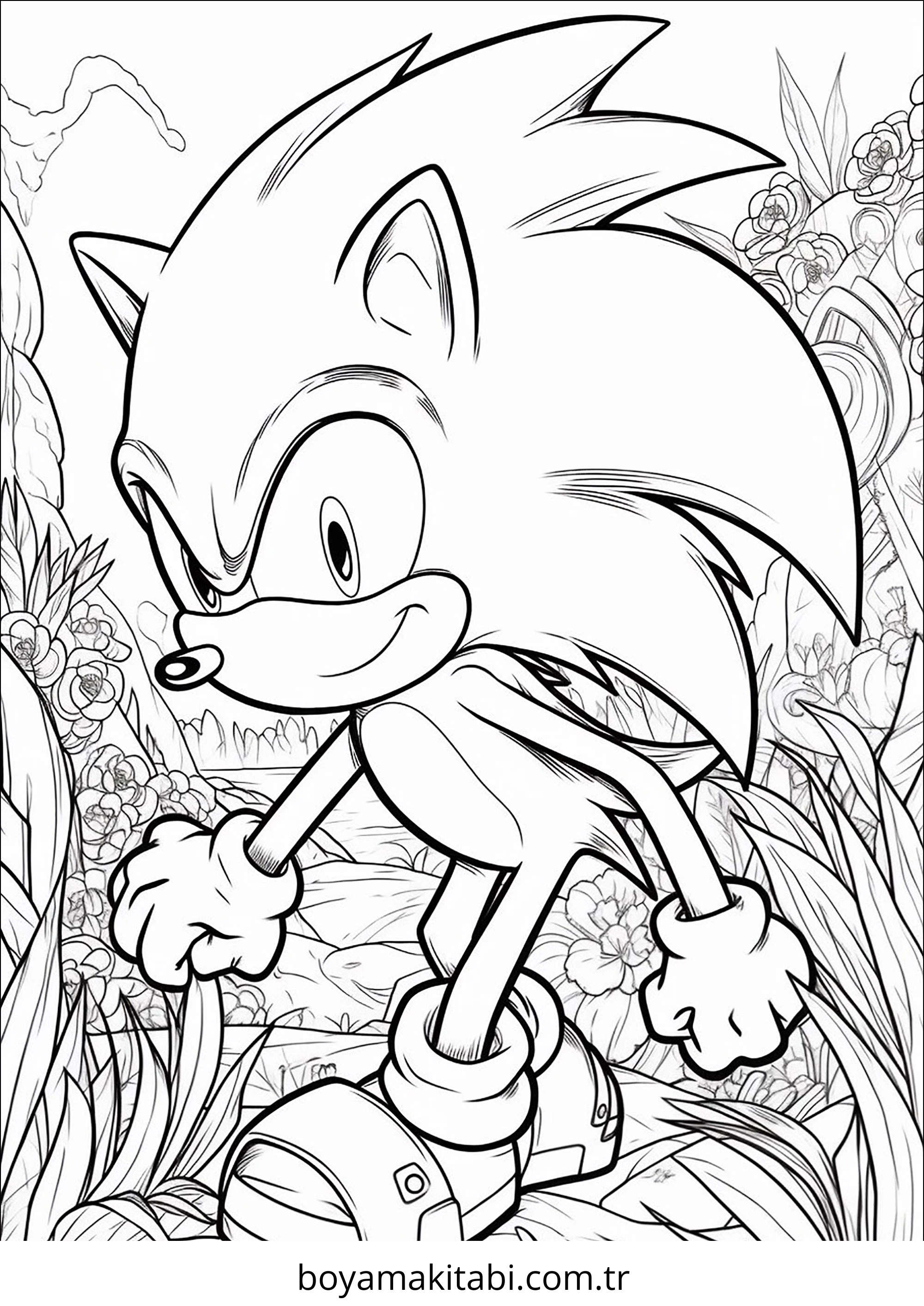 Sonic Boyama
