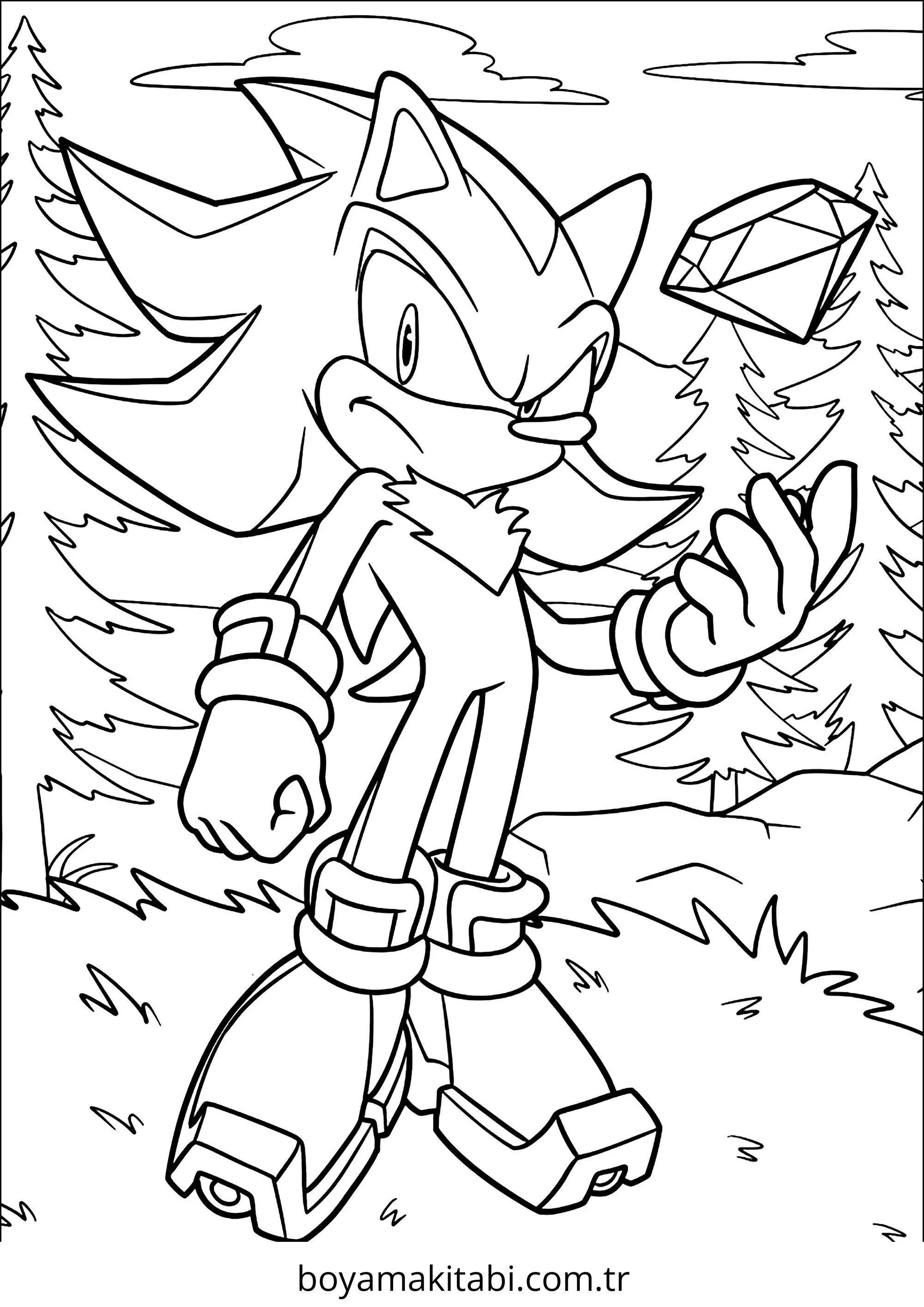 Sonic Boyama