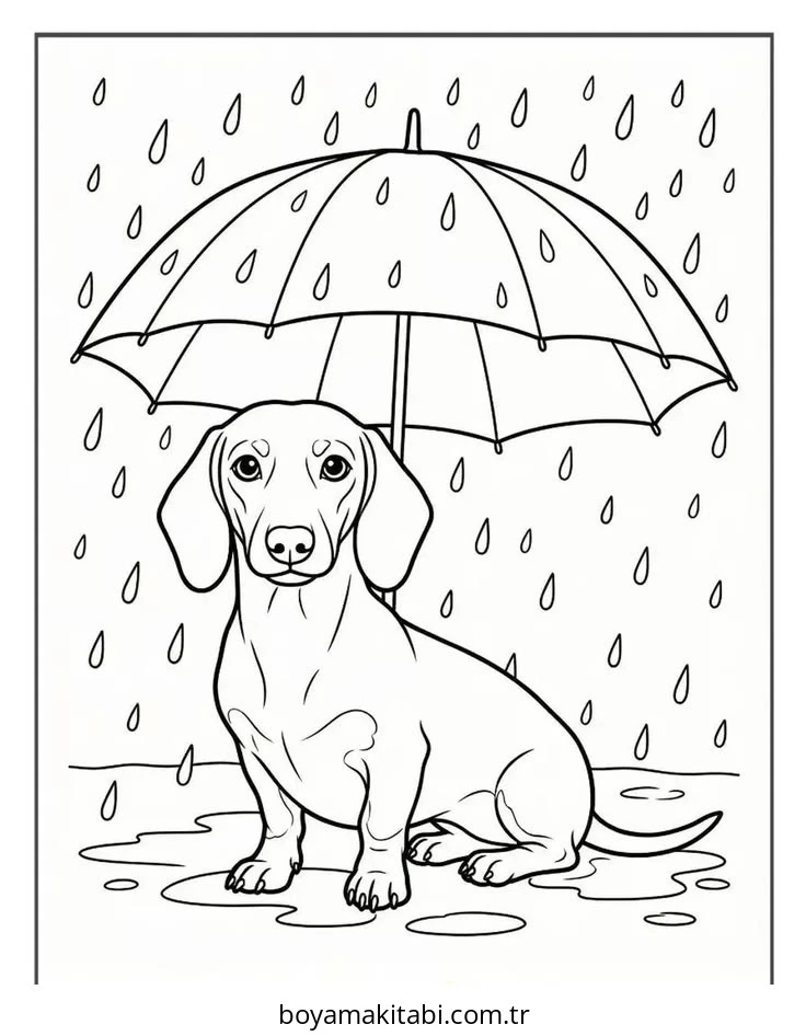 Dachshund boyama sayfası #11 – yaratıcı sanat çalışması, eğlenceli etkinlik
