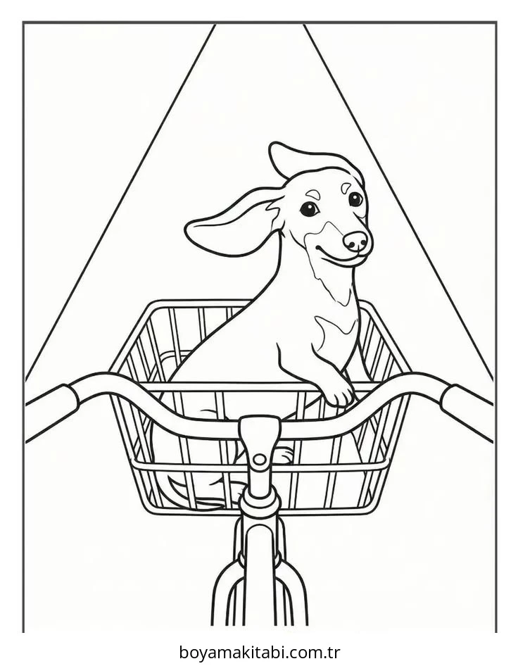 Dachshund boyama sayfası #24 – eğitici aktivite, yaratıcılık