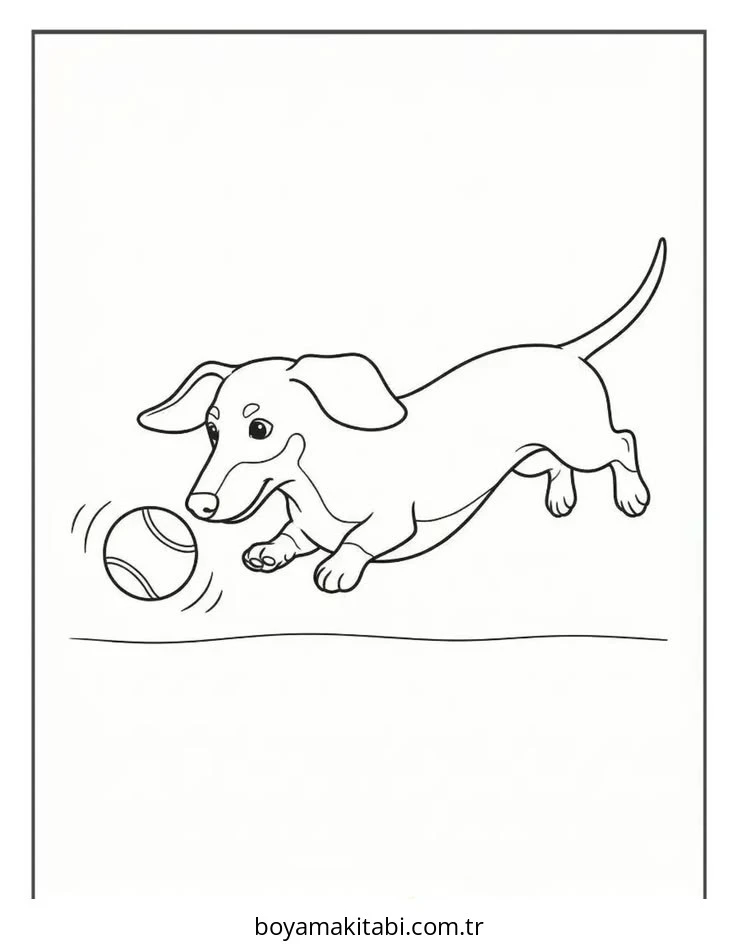 Dachshund Boyama
