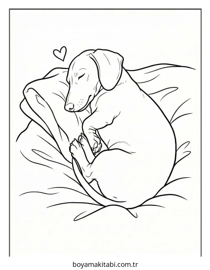 Dachshund boyama sayfası #34 – anaokulu etkinliği, motor becerileri destekler