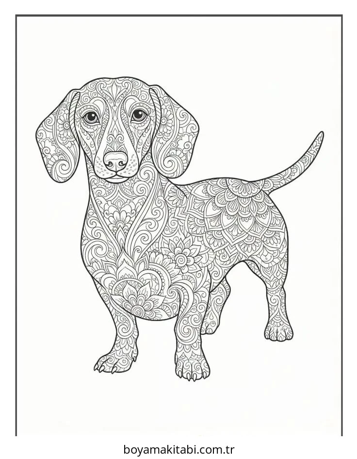 Dachshund boyama sayfası #44 – sabır ve özgüven kazandırır, yaratıcı sanat çalışması