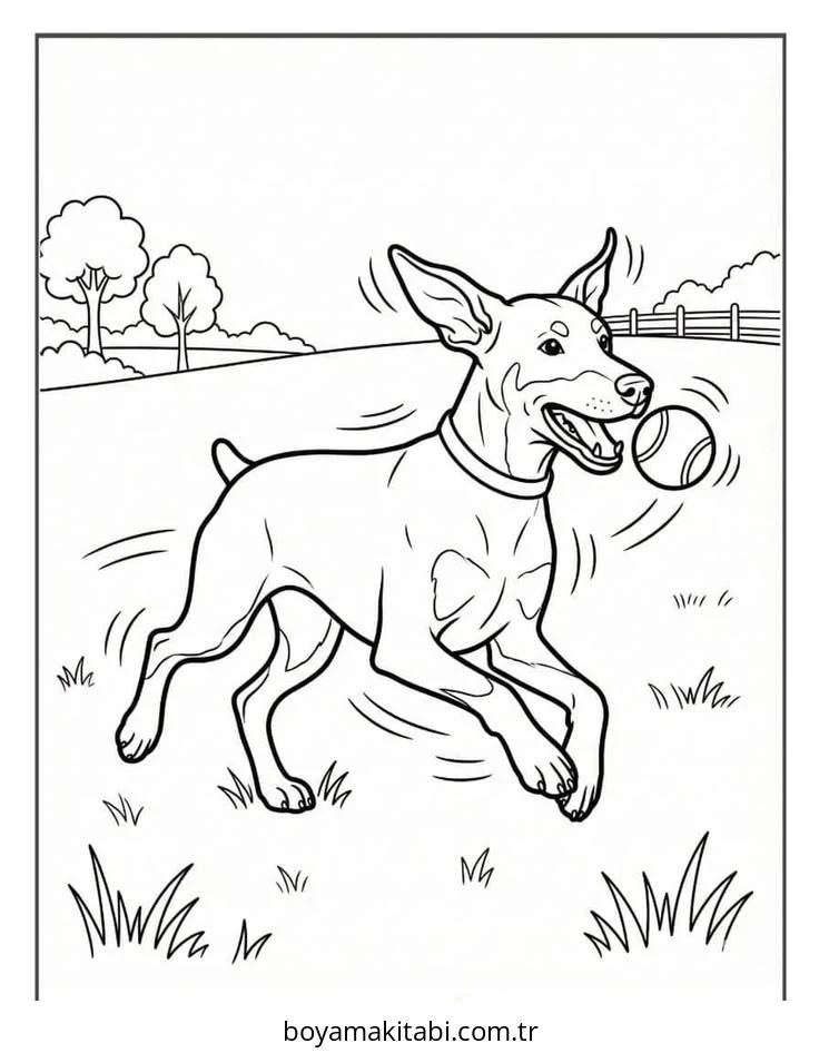 Doberman boyama sayfası – evde etkinlik, ücretsiz yazdır