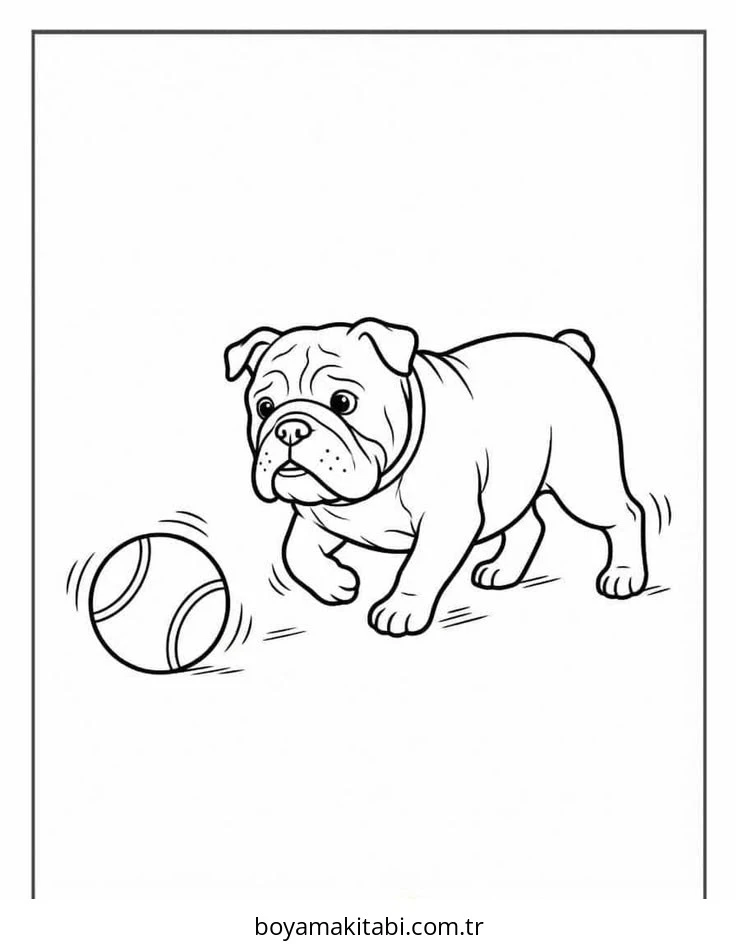 Köpek boyama sayfası #828 – sanatsal çalışma, aile ile vakit geçirme