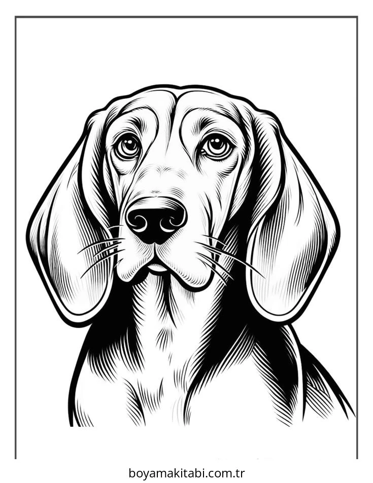 Köpek boyama sayfası #853 – ücretsiz yazdır, boyama etkinliği
