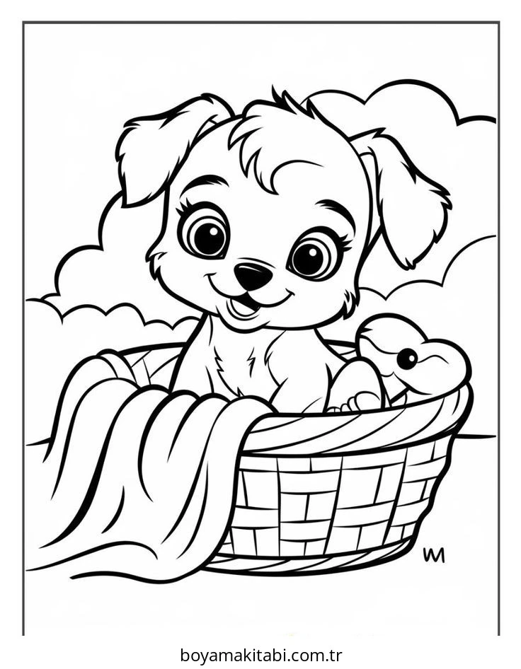 Köpek Boyama