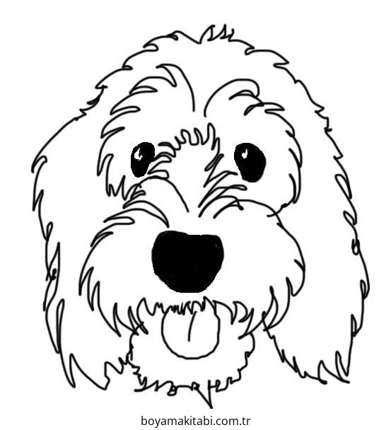 Köpek Boyama