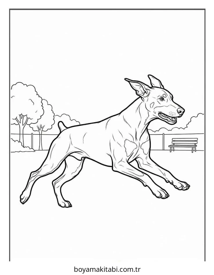 Köpek Boyama