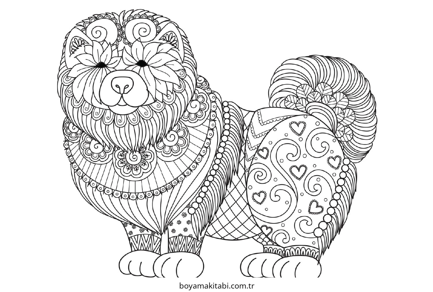 Zentangle boyama sayfası – keyifli zaman, renkli çizimler