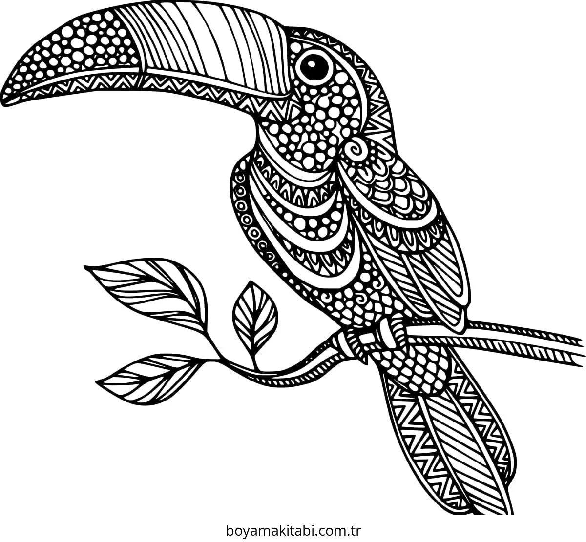 Zentangle boyama sayfası – renkli çizimler, okul öncesi
