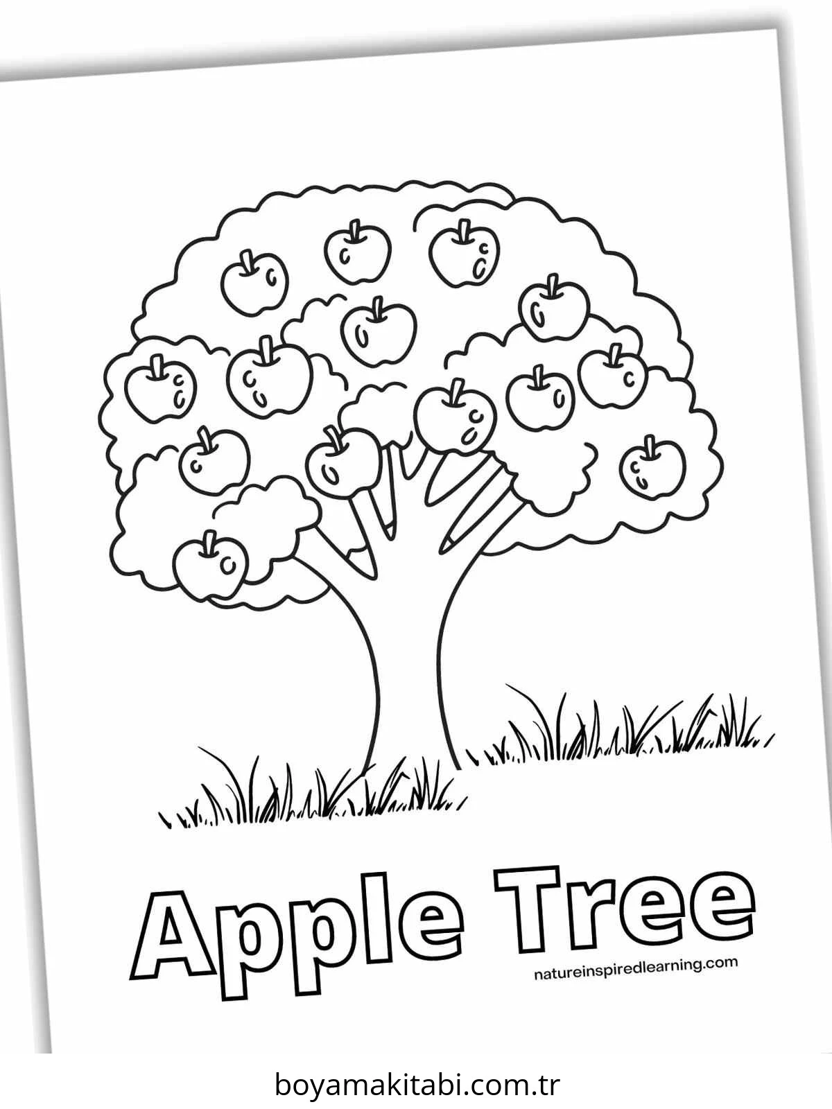 Apple boyama sayfası – boyama etkinliği, çocuk aktivitesi