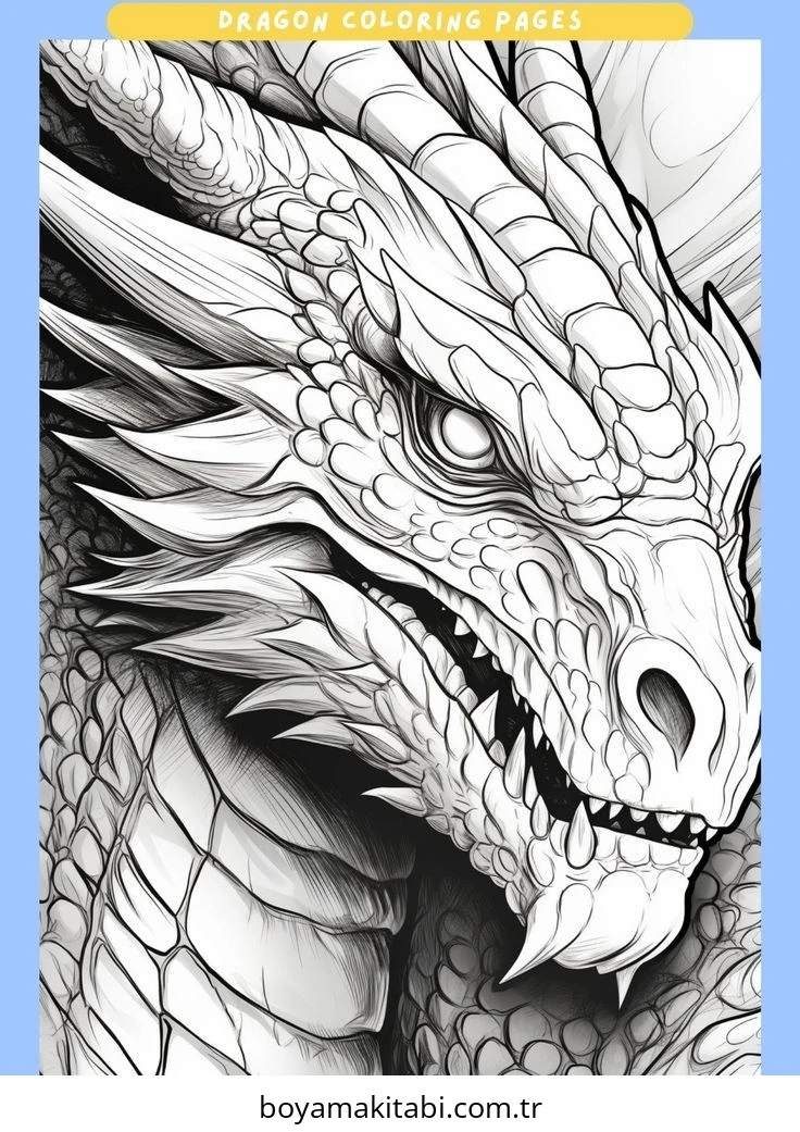 Fantasy Dragon  boyama sayfası – evde etkinlik, ücretsiz yazdır