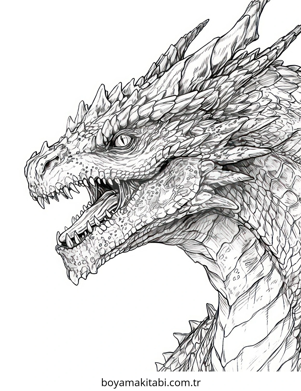 Fantasy Dragon  boyama sayfası – keyifli zaman, renkli çizimler