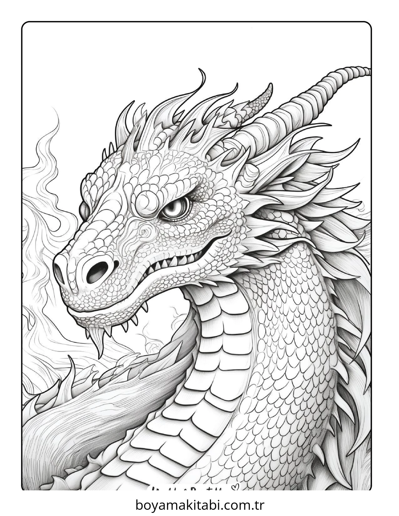 Fantasy Dragon  boyama sayfası – basit çizim, kolay boyama
