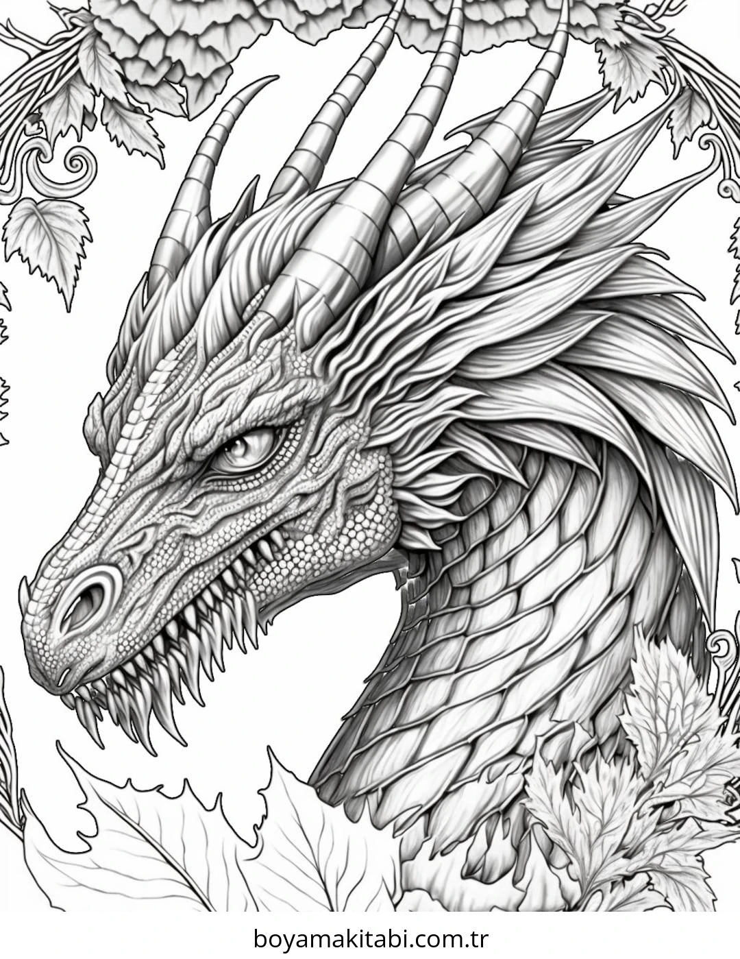 Fantasy Dragon  boyama sayfası – boyama çalışması, yaratıcılığı geliştirir