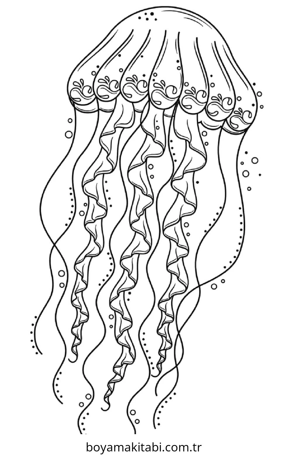 Jellyfish boyama sayfası – ücretsiz yazdır, boyama etkinliği