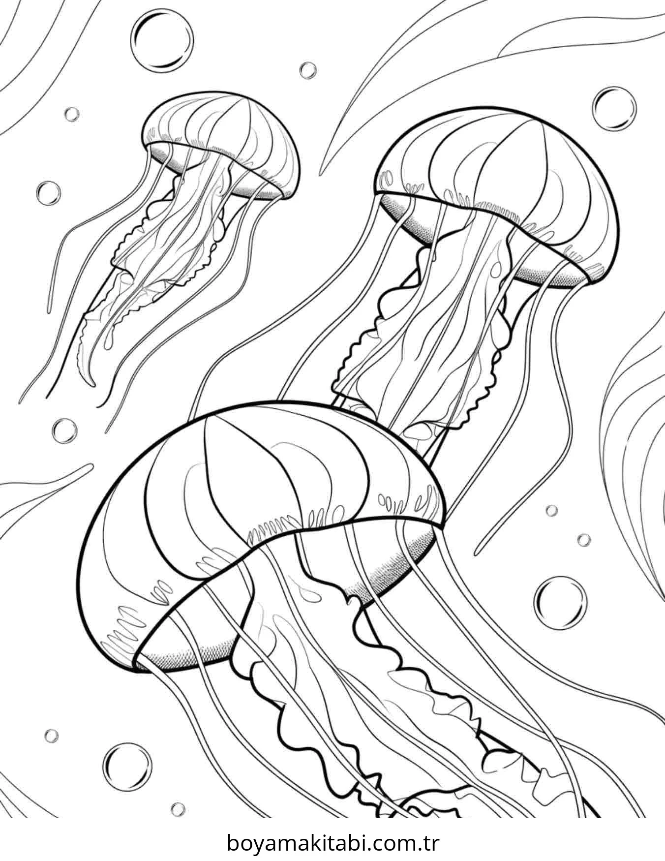 Jellyfish boyama sayfası – ücretsiz yazdır, boyama etkinliği