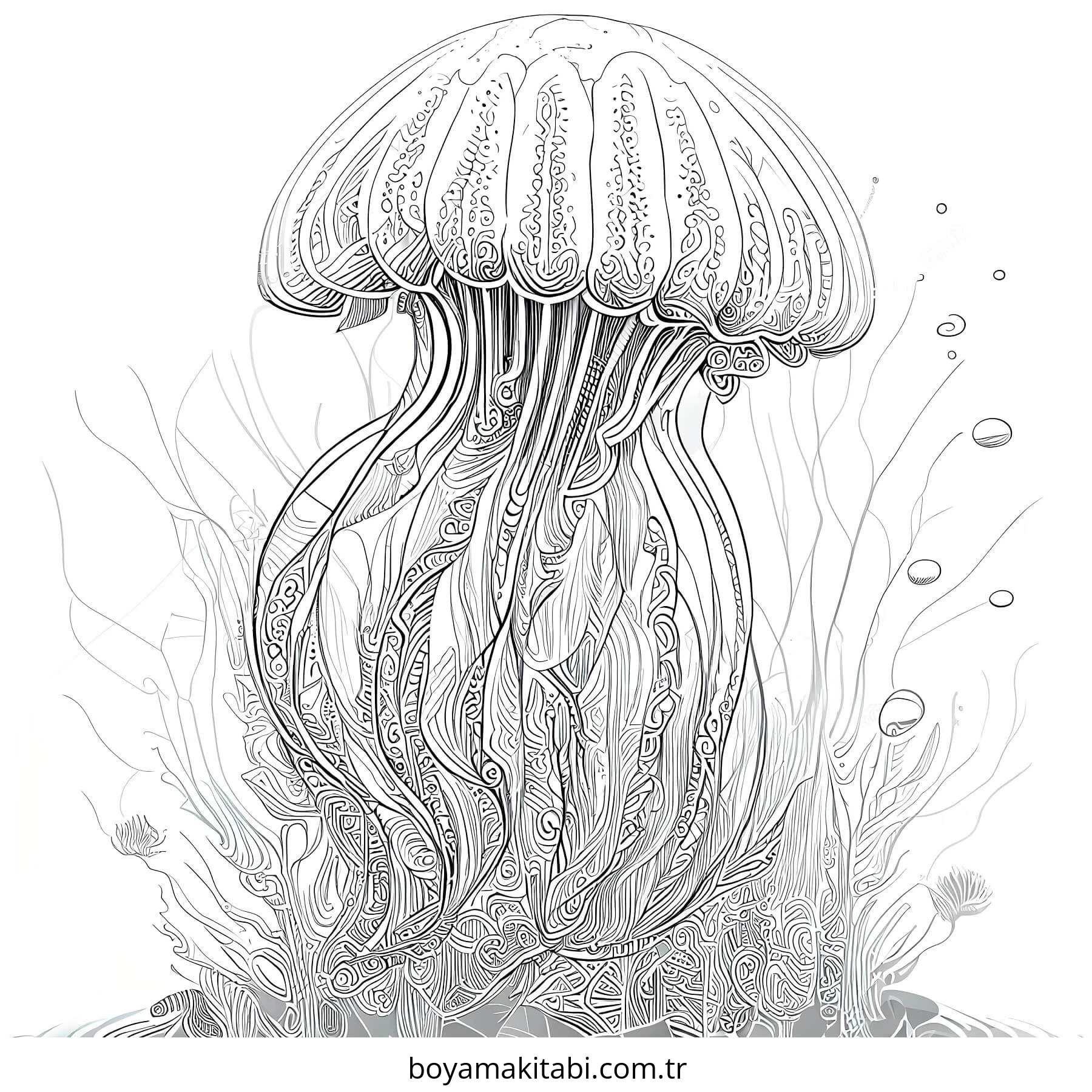 Jellyfish boyama sayfası – eğlenceli etkinlik, el becerilerini geliştirir
