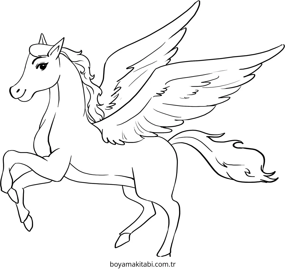 Pegasus boyama sayfası – keyifli zaman, renkli çizimler