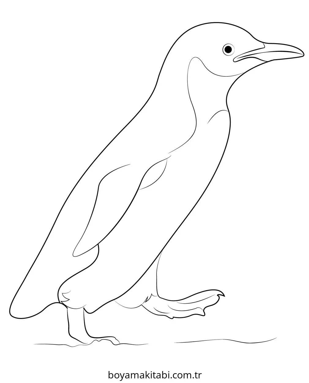Penguen boyama sayfası – basit çizim, kolay boyama