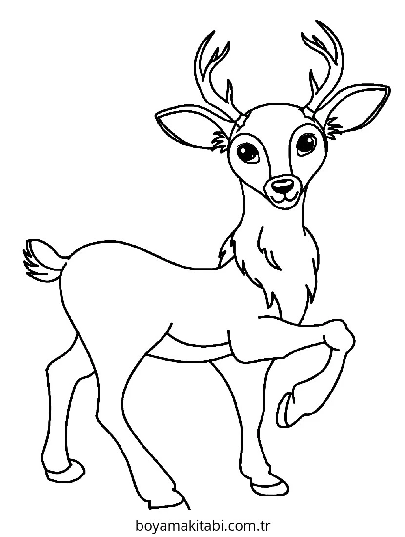 Reindeer boyama sayfası – yaratıcılığı geliştirir, keyifli zaman