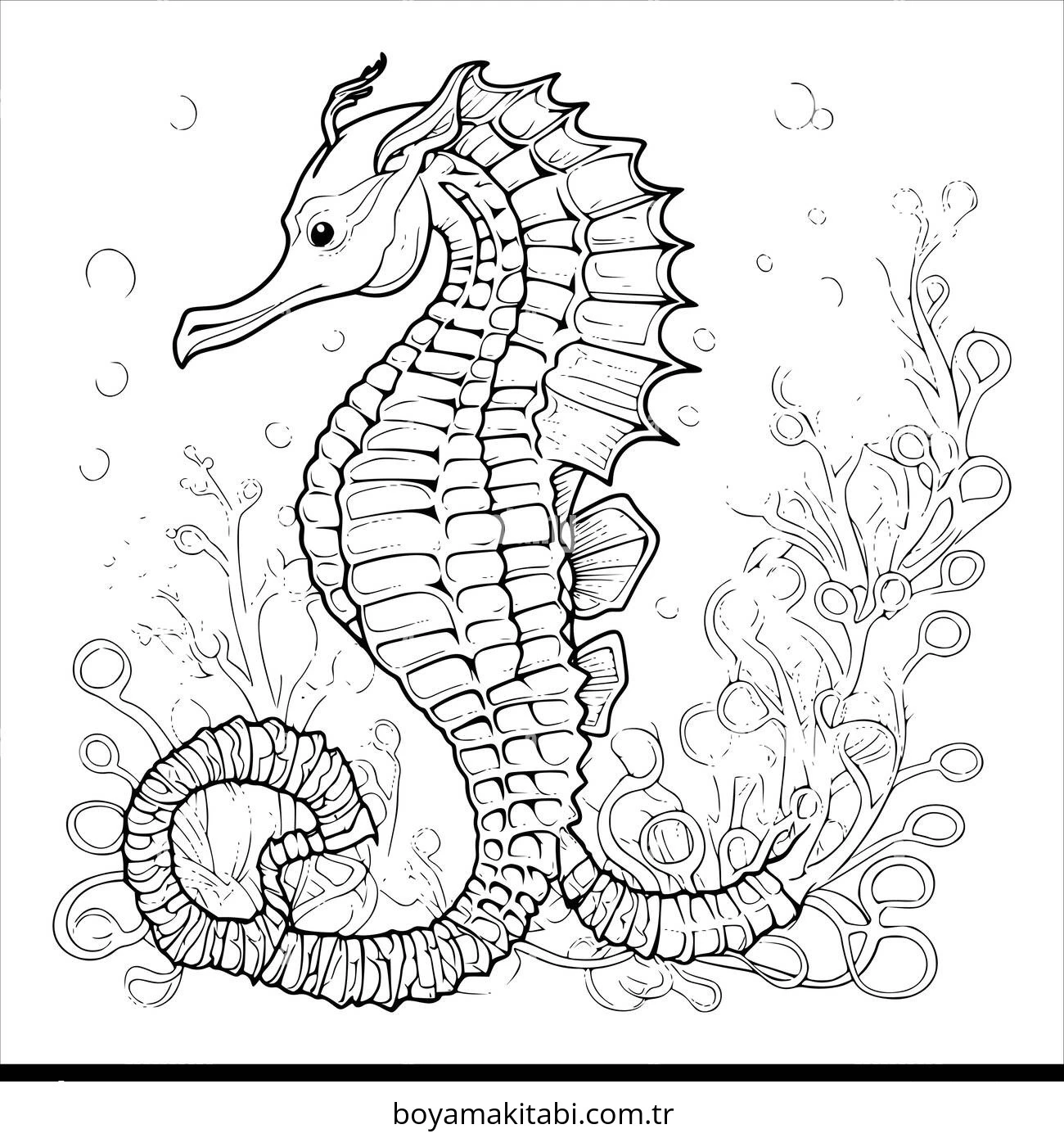 Seahorse boyama sayfası – sevimli karakter, sanatsal çalışma