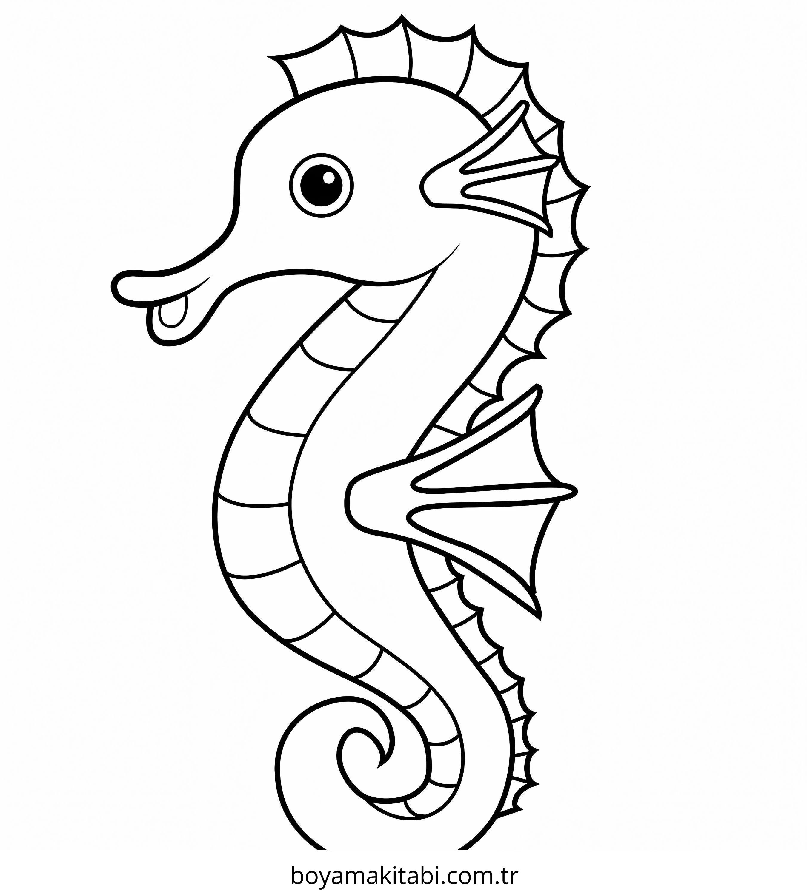 Seahorse boyama sayfası – çocuk aktivitesi, PDF indir